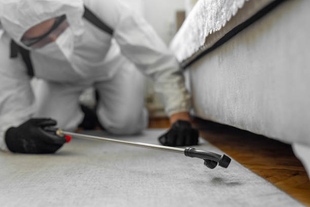 Professional Termite Control technician working in Bennettsville, SC
