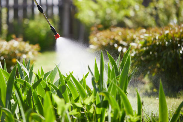 24/7 Emergency Termite Control experts in Bennettsville, SC